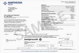 Credit Card Statement
