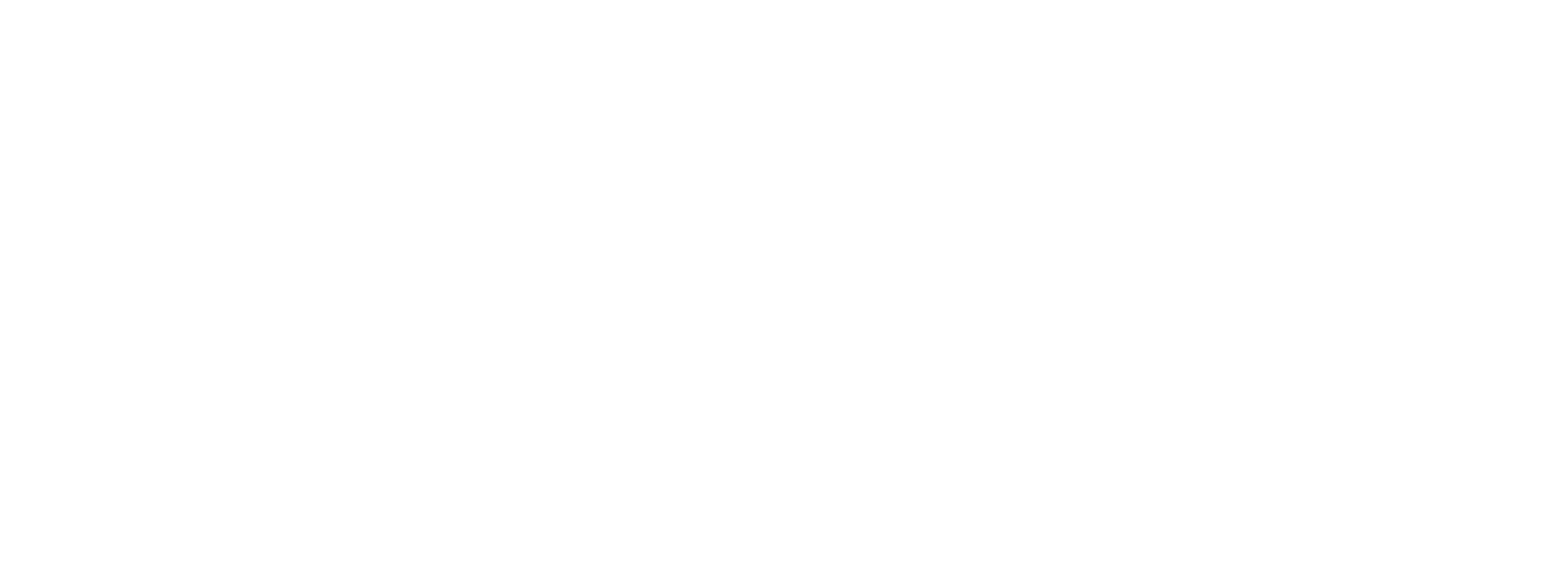 Matrix Security Watchdog_White
